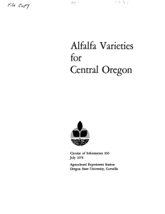 Alfalfa Varieties for Central Oregon ftU C&amp;fJ