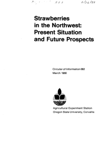Strawberries in the Northwest: Present Situation and Future Prospects