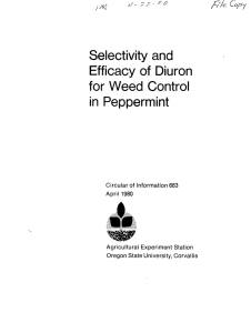 Selectivity and Efficacy of Diuron for Weed Control in Peppermint