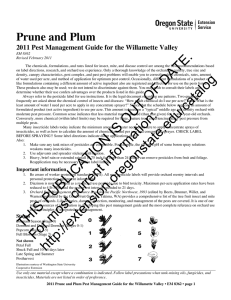 Prune and Plum  2011 Pest Management Guide for the Willamette Valley