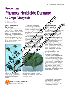 Phenoxy Herbicide Damage DATE. OF Preventing