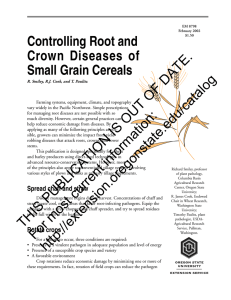 Controlling Root and Crown Diseases of Small Grain Cereals DATE.