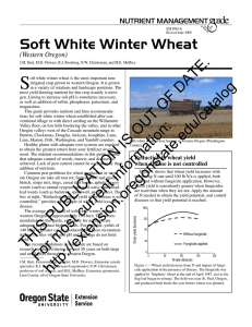 S Soft White Winter Wheat NUTRIENT MANAGEMENT (Western Oregon)