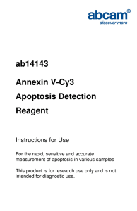 ab14143 Annexin V-Cy3 Apoptosis Detection Reagent