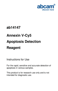ab14147 Annexin V-Cy5 Apoptosis Detection Reagent