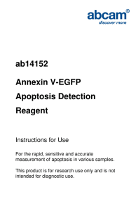 ab14152 Annexin V-EGFP Apoptosis Detection Reagent
