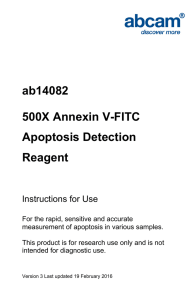 ab14082 500X Annexin V-FITC Apoptosis Detection Reagent