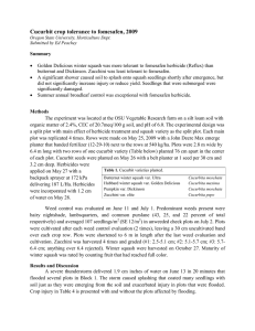 Cucurbit crop tolerance to fomesafen, 2009