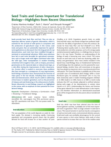 Seed Traits and Genes Important for Translational Biology—Highlights from Recent Discoveries