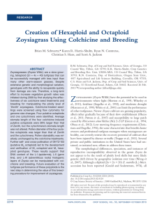 Creation of Hexaploid and Octaploid Zoysiagrass Using Colchicine and Breeding