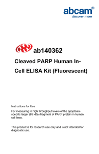 ab140362 Cleaved PARP Human In- Cell ELISA Kit (Fluorescent)