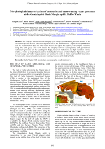 Morphological characterization of contourite and mass-wasting recent processes