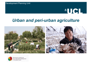 Urban and peri-urban agriculture Development Planning Unit