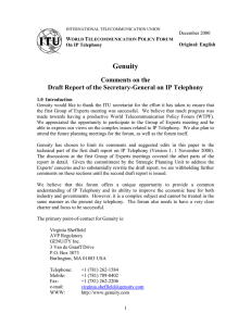 Genuity Comments on the Draft Report of the Secretary-General on IP Telephony W