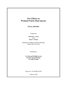 Fire Effects on Wetland Prairie Plant Species FINAL REPORT