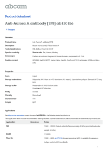 Anti-Aurora A antibody [1F8] ab130156 Product datasheet 4 Images Overview