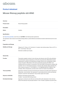 Mouse Nanog peptide ab14960 Product datasheet Overview Product name