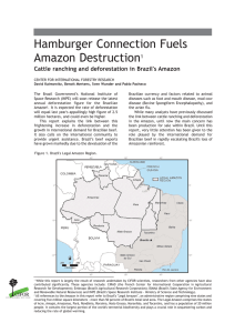 Hamburger Connection Fuels Amazon Destruction Cattle ranching and deforestation in Brazil's Amazon 1