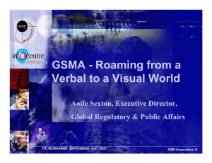 GSMA - Roaming from a Verbal to a Visual World