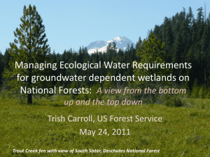 Managing Ecological Water Requirements for groundwater dependent wetlands on National Forests:
