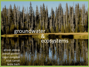 groundwater &amp; ecosystems allison aldous