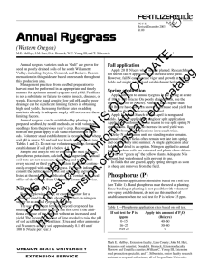 Annual Ryegrass (Western Oregon)