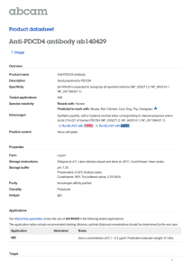 Anti-PDCD4 antibody ab140429 Product datasheet 1 Image Overview