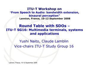 Round Table with SDOs Yushi Naito, Claude Lamblin –