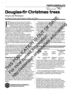 Douglas-fir Christmas trees FGRTIUZGRSUide Oregon and Washington