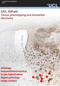 UCL IQPath Tissue phenotyping and biomarker discovery