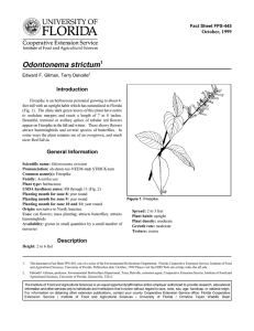 Odontonema strictum Introduction October, 1999 Fact Sheet FPS-445