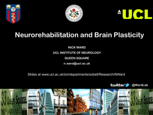 Neurorehabilitation and Brain Plasticity Slides at www.ucl.ac.uk/ion/departments/sobell/Research/NWard NICK WARD UCL INSTITUTE OF NEUROLOGY