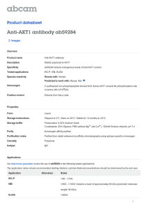 Anti-AKT1 antibody ab59284 Product datasheet 2 Images Overview