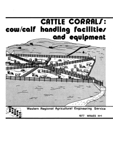 CATTLE CORRAL/: cow/calf handling facilitie/ and equipment