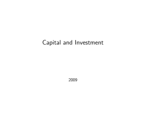 Capital and Investment 2009