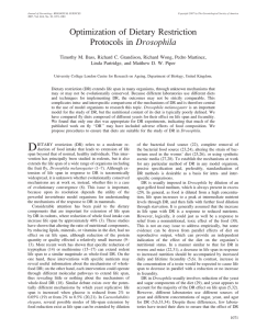 Optimization of Dietary Restriction Protocols in Drosophila