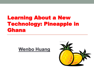 Learning About a New Technology: Pineapple in Ghana Wenbo Huang