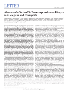 LETTER Absence of effects of Sir2 overexpression on lifespan