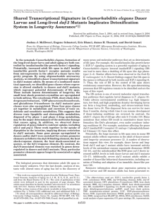 Caenorhabditis elegans daf-2 System in Longevity Assurance* □
