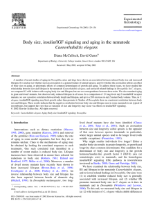 Body size, insulin/IGF signaling and aging in the nematode Caenorhabditis elegans