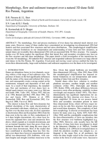 Morphology, flow and sediment transport over a natural 3D dune... Rio Paraná, Argentina D.R. Parsons &amp; J.L. Best