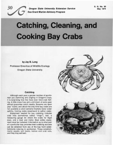 'yc Catching, Cleaning, and Cooking Bay Crabs Oregon State University Extension Service