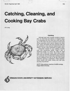 Catching, Cleaning, and Cooking Bay Crabs Catching JS5&lt;/