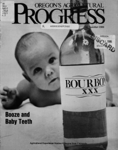 BOURP XXX Booze and Baby Teeth