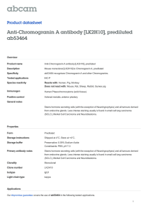 Anti-Chromogranin A antibody [LK2H10], prediluted ab53464