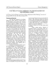 2007 Extension Research Report Disease Management PHYTOPHTHORA CAPSICI