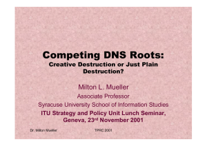 Competing DNS Roots: Milton L. Mueller Creative Destruction or Just Plain Destruction?