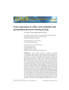 Gene expression of coffee seed oxidation and germination processes during drying