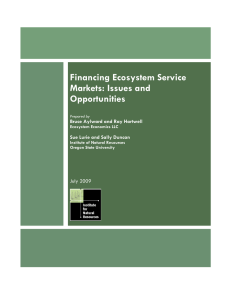 Financing Ecosystem Service Markets: Issues and Opportunities