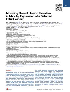 Modeling Recent Human Evolution in Mice by Expression of a Selected